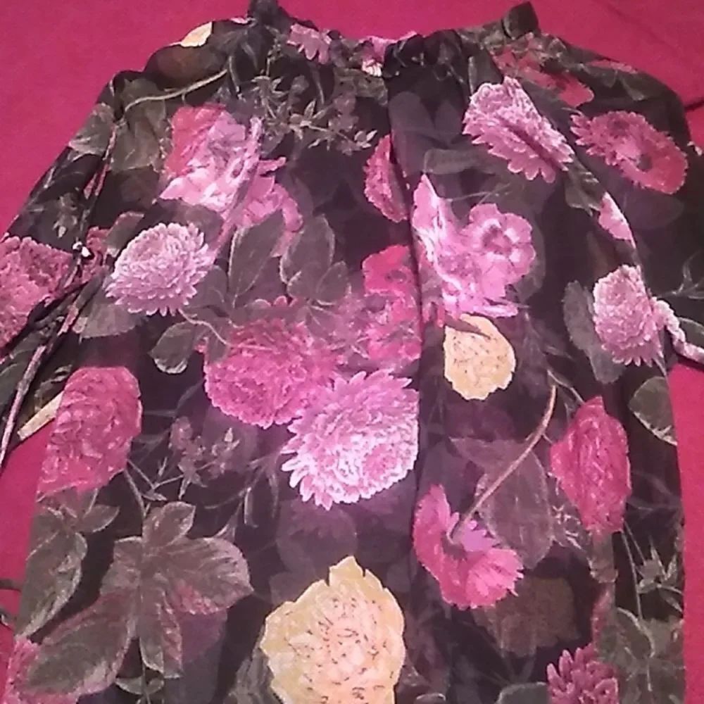 🤠Like New Rachel Roy Sheer Floral Blouse Size Medium.